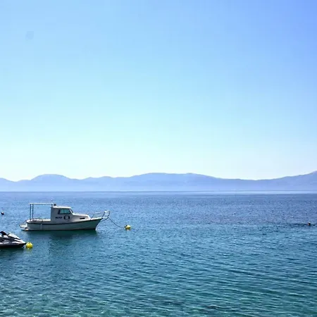 Tomislav * ザオストログ