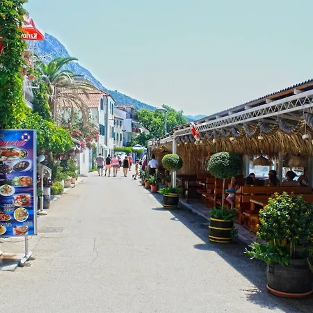 Tomislav ザオストログ