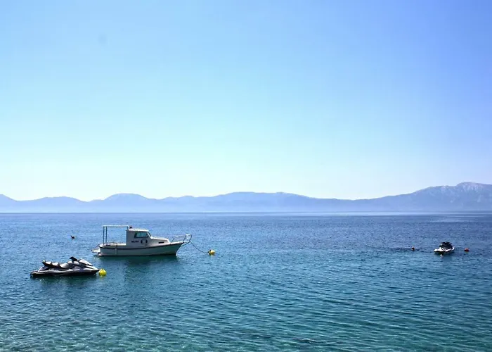 Tomislav * 자오스트로그