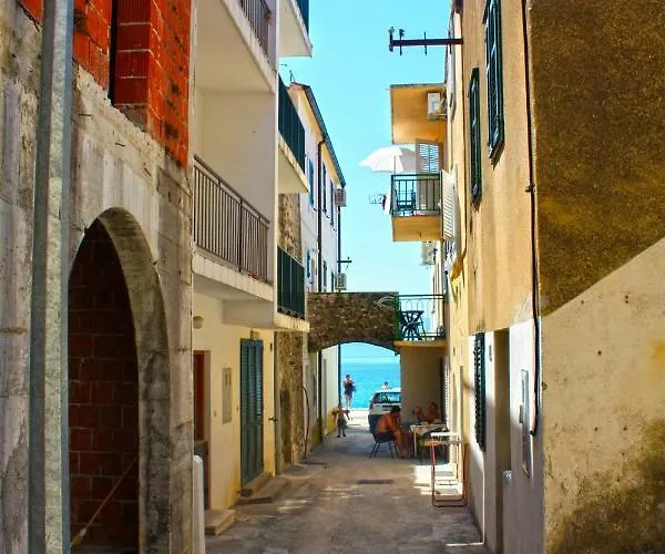 Tomislav * 자오스트로그